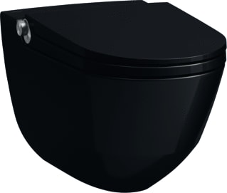 Laufen - Cleanet Douche wc douche wc diepspoel sc