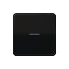 Jung - CD RANGE Intelligent bedieningselement enet afd cd br
