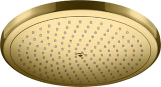 Hansgrohe - Croma Douchekop 26220990