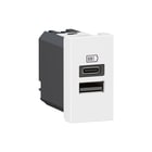 Legrand - Mosaic USB-voeding Usb Lad A+C 15W 1M W