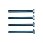 Nijhuis & Wigger - Ubel Schroef/bout ubel tapbout rvs m12x80    zk4