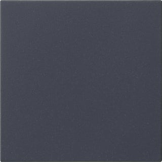 Gira - Systeem 3000 Systeem 55 Intelligent bedieningselement S3000 Bedienelm 55 Antr