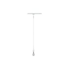 Paulmann - Pendelarmatuur urail decosystems p 1x20w