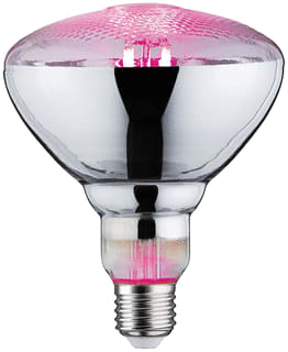Paulmann - LED-lamp Led Fil Plant 6,5W 230V