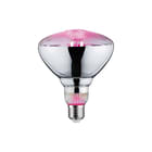 Paulmann - LED-lamp Led Fil Plant 6,5W 230V