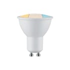 Paulmann - LED-lamp inblp choose 3 gu10 white