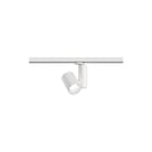 Paulmann - Downlight/spot/schijnwerper prorail3 spot zeuz 32w 60