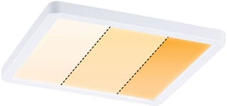Paulmann - Downlight/spot/schijnwerper ib paneel areo varifit ip
