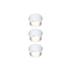 Paulmann - Downlight/spot/schijnwerper ebl set gil coin 3stepd r