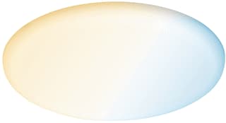 Paulmann - Downlight/spot/schijnwerper ib paneel veluna varifit