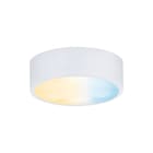 Paulmann - Downlight/spot/schijnwerper clever connect spot medal