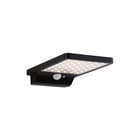 Paulmann - Plafond-/wandarmatuur Outdoor Solveig Solar Wal