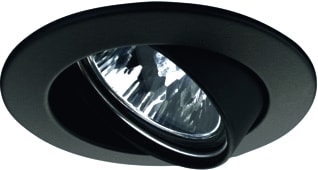 Paulmann - Downlight/spot/schijnwerper Iba 50W Zw