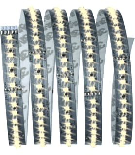 Paulmann - Lichtslang/-band Maxled 1,5M Wit