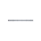 Paulmann - Lichtslang/-band maxled 1m wit zilv kst