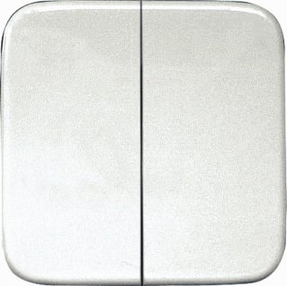 Eltako - 55-serie Toets bussysteem Dw-Ft55R-@