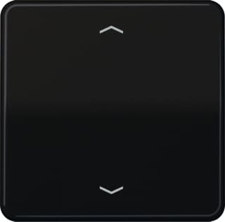 Jung - CD500 Intelligent bedieningselement afd cd500 br st 1730je