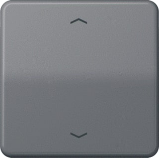 Jung - CD500 Intelligent bedieningselement afd cd500 gr st 1730je