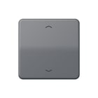 Jung - CD500 Intelligent bedieningselement afd cd500 gr st 1730je