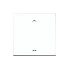 Jung - Intelligent bedieningselement Ls1700Pww