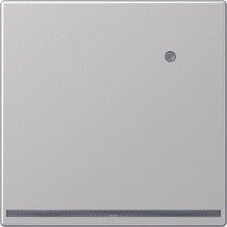 Jung - LS990 Nachtlamp led verl ls990 ligr+sens