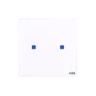 ABB Busch-Jaeger - I-Bus KNX Tastsensor bussysteem tastsensor 2cka006300a1540