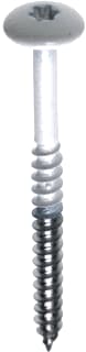 FISINOX - Hout-/ bouwschroef 63703031 ds100