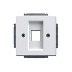 ABB Busch-Jaeger - Future, Solo, Axcent, Carat Inzetplaat schakelmateriaal Cpl 1Xmj 216000-2/216005-4