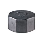 Springer - Fitting met 1 aansluiting fitting 1 326400t