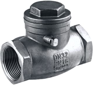 Springer - Terugslagklep Ter.Str Pn16 1"