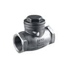 Springer - Terugslagklep Ter.Str Pn16 1 1/4"