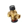 Miniatuur 1