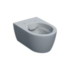 Geberit - ICON Closet Wcl Ds Rf 53 W Tec