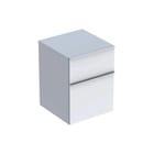Geberit - ICON Badmeubelkast Wastok 2L 45X60Cm Wit