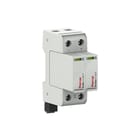 Raycap - ProTec T2 Netoverspanningsbeveiliging T2-300-1+1-R
