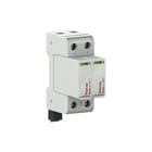 Raycap - ProTec T2 Netoverspanningsbeveiliging T2-300-2+0-R