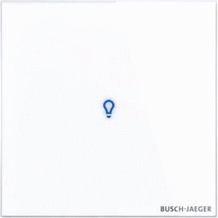ABB Busch-Jaeger - I-Bus KNX Tastsensor bussysteem tastsensor 2cka006300a1558