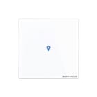 ABB Busch-Jaeger - I-Bus KNX Tastsensor bussysteem tastsensor 2cka006300a1558