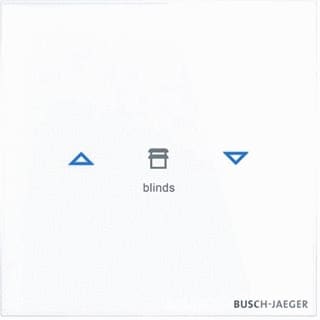 ABB Busch-Jaeger - I-Bus KNX Tastsensor bussysteem tastsensor 2cka006300a1560