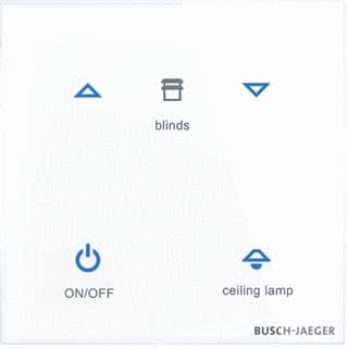 ABB Busch-Jaeger - I-Bus KNX Tastsensor bussysteem tastsensor 2cka006300a1613