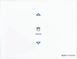 ABB Busch-Jaeger - I-Bus KNX Tastsensor bussysteem tastsensor 2cka006300a1615