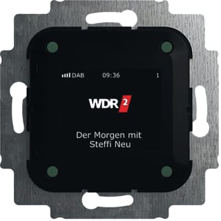 ABB Busch-Jaeger - Audioworld Radio Dig Inb Dab+