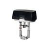 Miniatuur 1