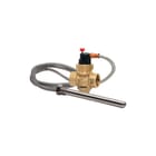 Esbe - Toebehoren/onderdelen voor boiler Tbh Boiler Vst212 Dn20