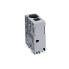 Wago - Printplaatklem 2636-3101/000-005