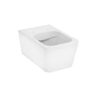 Hansgrohe - EluPura Q Closet elupura q toilet wand 540