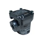 Karl Dungs - Leidingfilter Gasfilt 1B Mm 1/2"