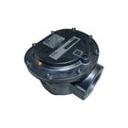 Karl Dungs - Leidingfilter Gasfilt 1B Mm 2"