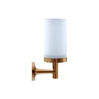 Duravit - Glas/tandenborstelhouder Starck T Tandenborstelbkr
