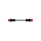 Wago - Patchkabel inst.bare gebouwinstall. 891-8995/005-607